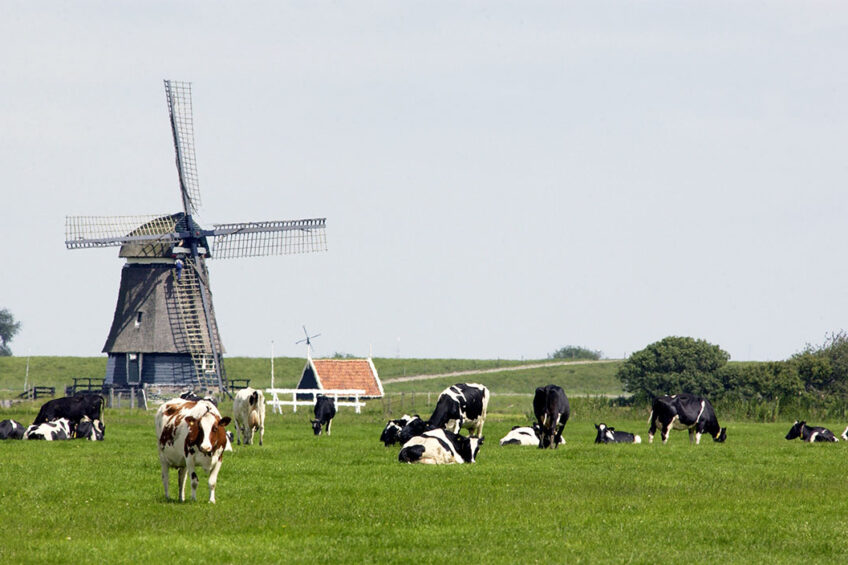 Waarom is Nederland zo succesvol in het exporteren van voedsel?  – ISN-magazine