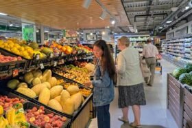 Mercadona: Spain’s Retail Machine Built on Discipline, Efficiency, and ...